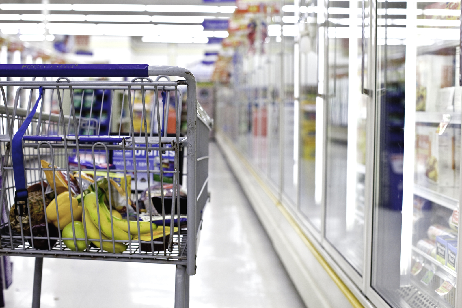 Grocery Shopping Cart grocery payment