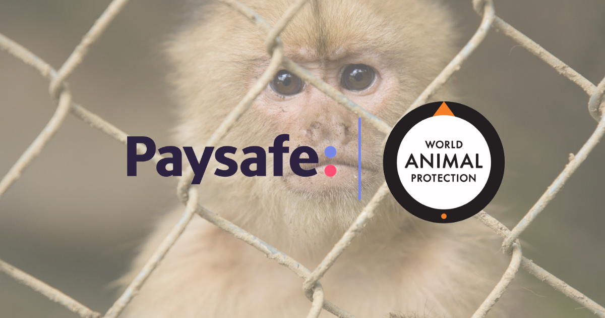 031121 Paysafe