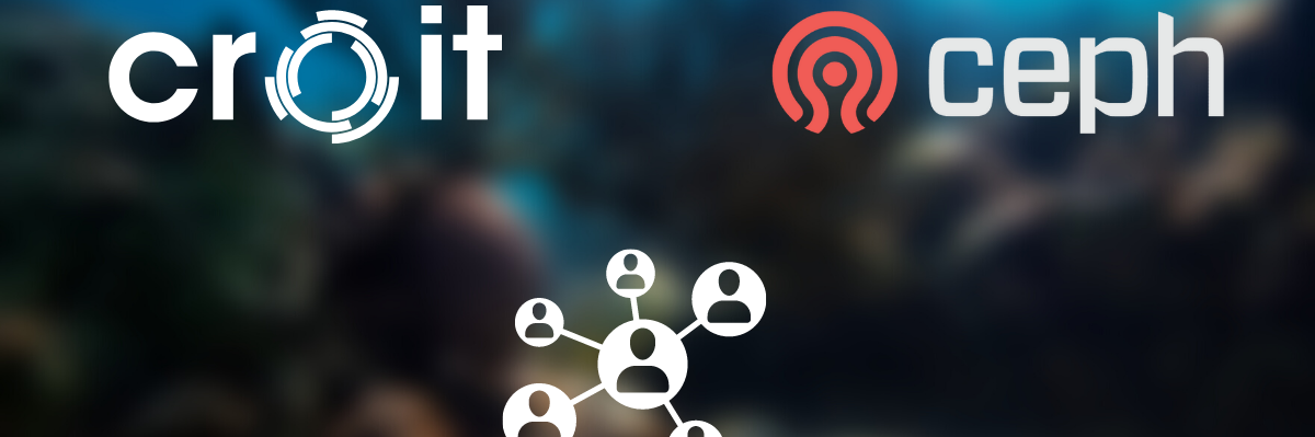 croit-ceph_pic (1)